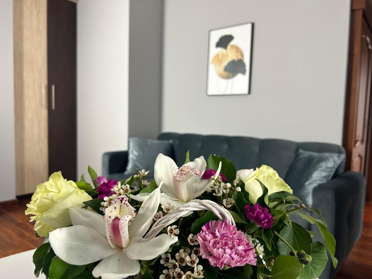 Mala Italia Apartments Вроцлав Екстериор снимка